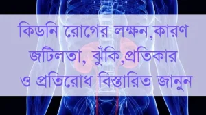 কিডনি রোগের প্রতিকার